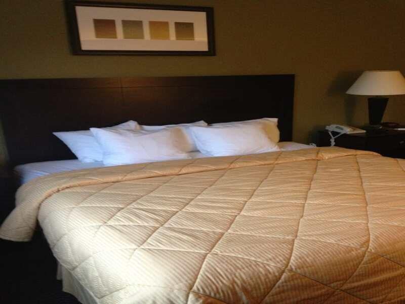 Quality Inn West Plano - Dallas Extérieur photo
